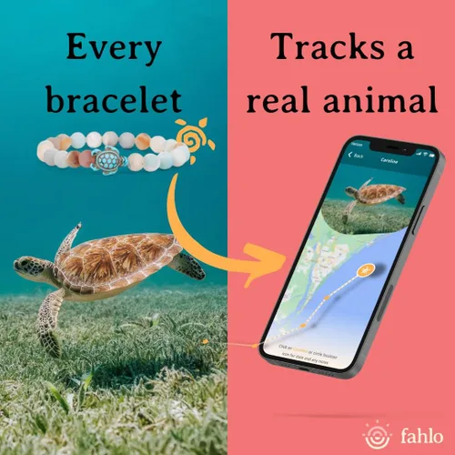 Vista 2 de Fahlo Pulsera de seguimiento de tortuga marina, elástica, soporta la conservación de tortugas marinas, talla única para hombres y mujeres, Piedra