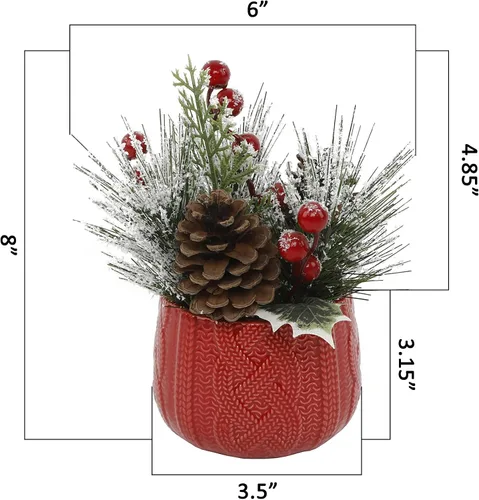Vista 2 de Flora Bunda Mezcla de Navidad en maceta de cerámica de suéter rojo 3.5X3.5X3