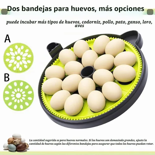 Vista 4 de Incubadoras de huevos para incubar huevos, control de temperatura y humedad