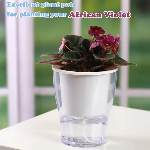 Vista 4 de 3 paquetes de macetas grandes transparentes de riego automático de 7 pulgadas, macetas de plástico de color violeta africano, macetas de plástico