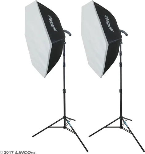 Vista 9 de LINCO Lincostore Flora LED 1860 * 2 luces de fotografía súper brillantes para fotografía, película y estudio de video iluminación AM161- Cena