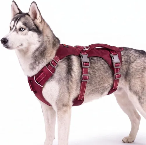 Vista 16 de Arnés para perro Tuff Pupper a prueba de escapes para perros extra pequeños Arnés ajustable ligero sin tirones Equipo multifuncional