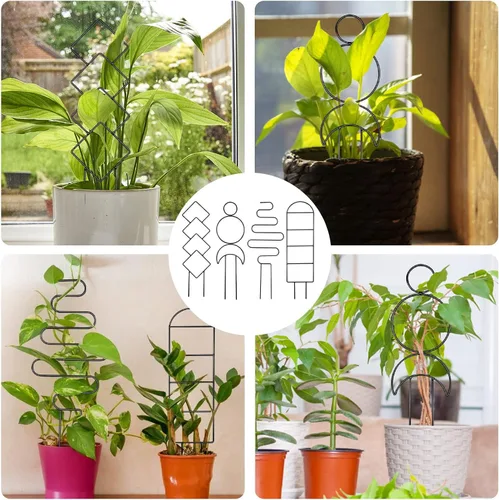 Vista 7 de 4 piezas de mini enrejado de metal para plantas en maceta, soporte de escalada para enredaderas Hoya (negro)
