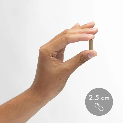 Vista 6 de Dr. Mercola Beta glucanos fermentados - Apoyo al sistema inmunológico - Fermentado de levadura Beta-1,3-Glucano y EpiCor - Vegetariano - No lácteos