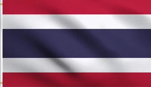 Vista 110 de DMSE - Bandera nacional beninesa beninesa de la República de África Occidental, 2 x 3 pies, 100 % poliéster, 100 % poliéster, resistente a los rayos