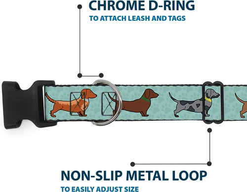 Vista 5 de Collar de perro Clip de plástico Dachshund 4 Perros Patas Aquas 9 a 15 pulgadas 1.0 pulgadas de ancho