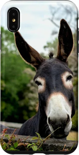 Vista 11 de Funda Donkey para iPhone 17