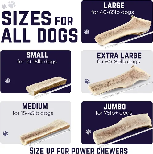 Vista 7 de Devil Dog Pet Co. Cuernos de alce divididos para perros, masticables naturales para perros con médula expuesta, larga duración y sin olor