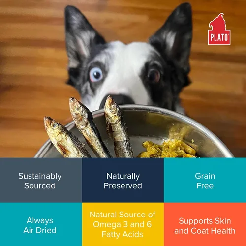 Vista 5 de Plato Pet Treats Golosinas de pescado para perros, espadín báltico