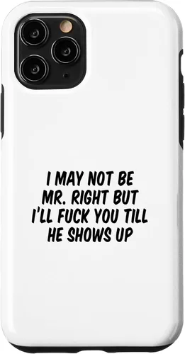 Vista 29 de I May Not Be Mr. Right But I’ll Fuck You Till He Shows Up Case for iPhone 17
