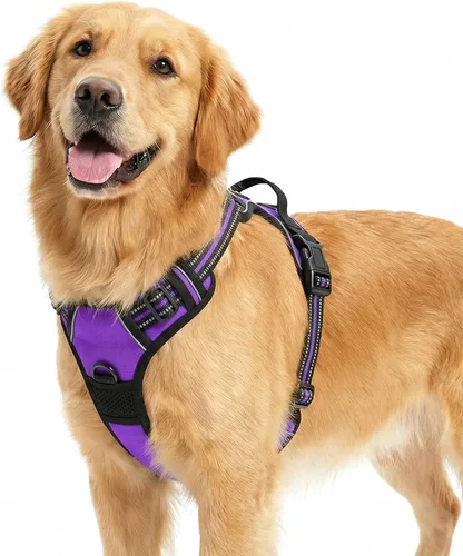 Vista 9 de Funfox Arnés para perro sin tirones, chaleco ajustable para mascotas con asa de control y clip frontal, diseño reflectante para perros pequeños