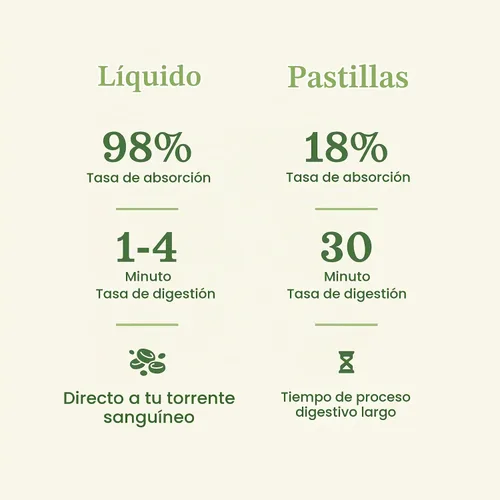 Vista 7 de Liver Complete Liquid 8 oz – Fórmula orgánica de desintoxicación de limpieza del hígado, apoyo a base de hierbas para altas enzimas con cardo