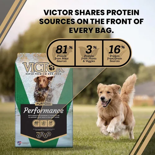 Vista 4 de VICTOR Performance - Alimento seco para perros, carne de res, pollo y cerdo