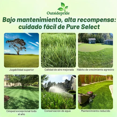 Vista 2 de Outsidepride Pure Select - Semilla de césped doblada rastrera – 1 libra de césped premium para poner verduras, camisetas y calles, semillas