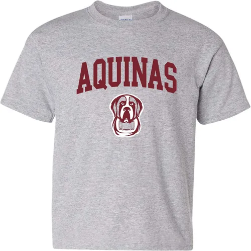Vista 455 de NCAA Arch Logo, camiseta juvenil color del equipo, universidad - universidad