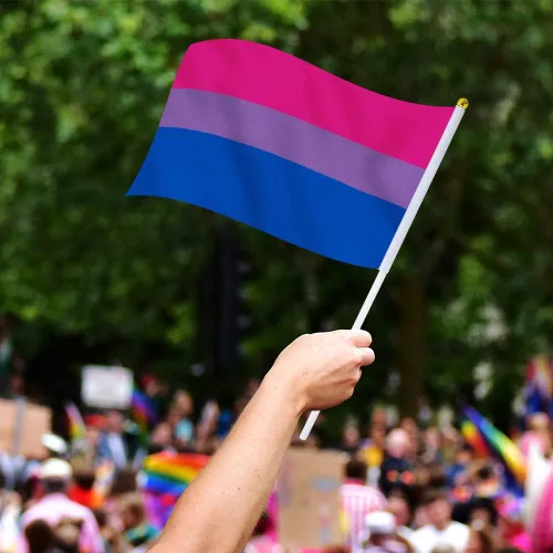 Vista 5 de Bandera bisexual con bandera bi, pequeña mini banderas de mano con orgullo bisexual en palos para desfiles, fiestas, festivales y decoraciones