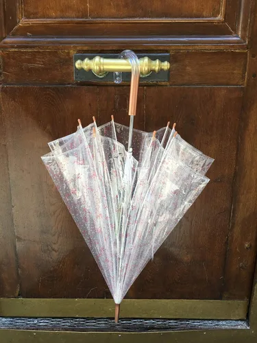 Vista 4 de SMATI París - Paraguas transparente de jaula para pájaros con diseño de constelación - Transparente Resistente al viento Apertura automática Mango