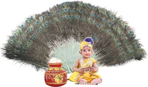 Vista 2 de Raj Fancy Dresses Vestido Shri Krishna para bebés niño y niña vestido Janmashtmi con Dhoti Dupatta vestido Kanha para 3 meses a 8 años