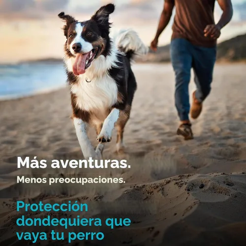 Vista 7 de TevraPet Activate II Collar antipulgas y garrapatas para perros pequeños, prevención de 12 meses, 2 unidades, se adapta a cuellos de hasta 15