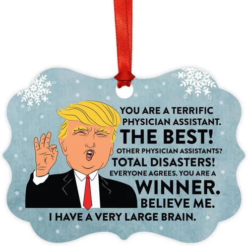 Vista 43 de Andaz Press Presidente Donald Trump Fancy Frame Recuerdo Adorno de Navidad Regalo de broma, excelente contador, 1 paquete, divertidas ideas