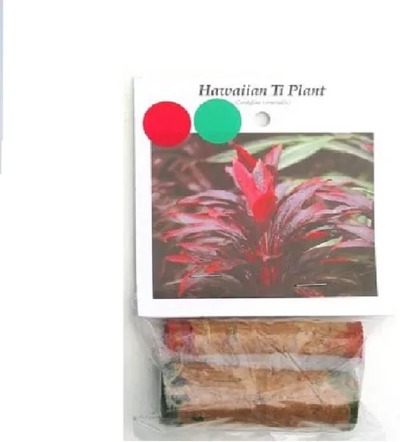 Vista 2 de TRONCOS DE PLANTA HAWAIIANA TI 1 ROJO 1 VERDE ~ CRECIR HAWAII