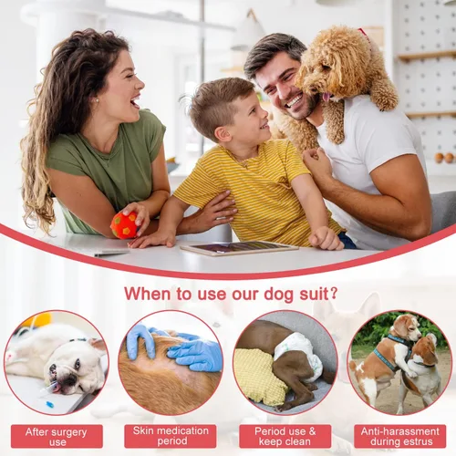 Vista 6 de Etdane Pañales para perros, bragas sanitarias, camisas de período fisiológico, trajes de recuperación quirúrgica para perros machos y hembras, Negro