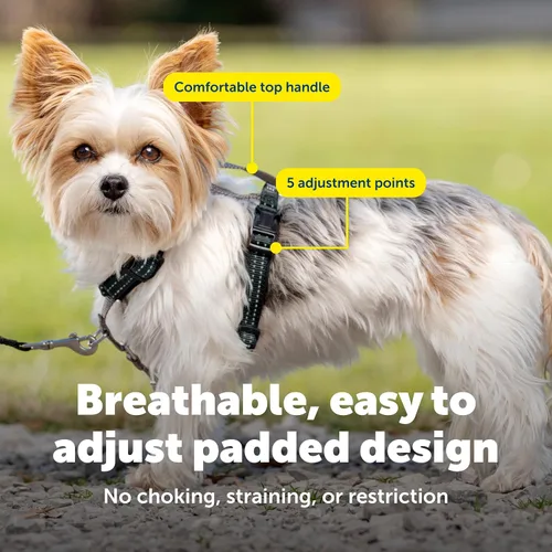 Vista 5 de Arnés PetSafe 3 en 1, de los fabricantes del arnés Easy Walk, XS