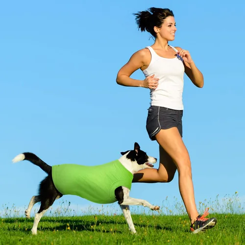Vista 5 de 8 camisas de invierno para perro, ropa en blanco para cachorros, camiseta suave para perro, transpirable, lisa, para mascotas, camisas de algodón