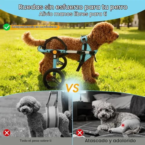 Vista 2 de TailWaggers Silla de ruedas para perros para patas traseras Ayuda de movilidad ajustable Ruedas todo terreno