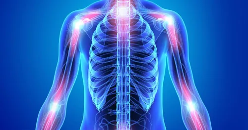 Vista 5 de Flamasil™ - para una respuesta saludable a la inflamación* Alivio del dolor multiherbario* y ayuda articular Cúrcuma, boswellia, resveratrol