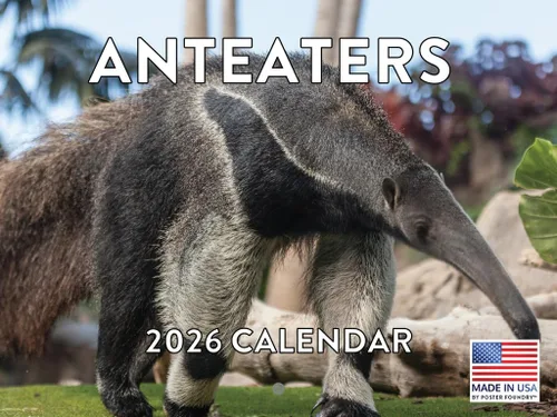 Vista 91 de Calendario mensual de pared de alpaca 2025 Fabricado en Estados Unidos