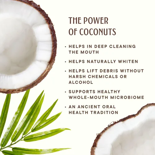 Vista 9 de Dr. Ginger - Bolígrafo blanqueador de aceite de coco con xilitol, menta de coco, 0.35 onzas Coconut Powered Whitening, Coconut Oil, Xylitol