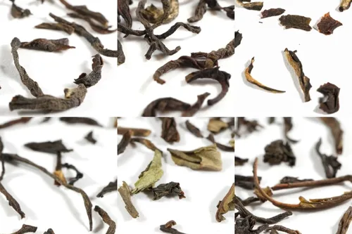Vista 8 de Beantown Tea & Spices - Paquete económico de muestras de té. 30 muestras de té gourmet de hojas sueltas y 100 filtros. Paquete variado. Gran idea