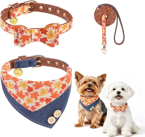 Vista 12 de BINGPET Juego de collar y correa para cachorro con pajarita, pañuelo a Beige