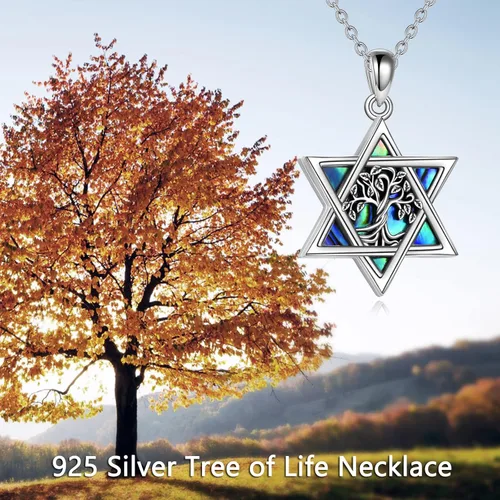 Vista 56 de YFN Collar de estrella de David de plata de ley, concha de abulón, árbol de la vida, joyería judía, regalos para mujeres y hombres