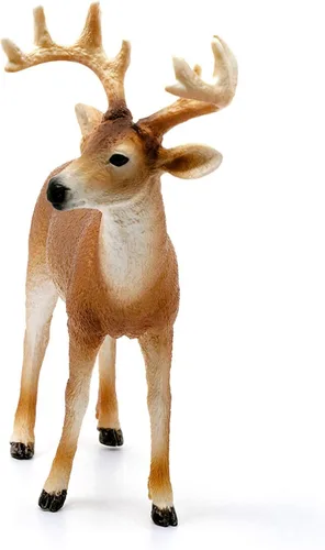Vista 6 de Schleich Wild Life, Figura de Animal, Juguetes de Animales para Niños y Niñas de 3-8 Años de Edad, Venado de Cola Blanca, Edades 3+