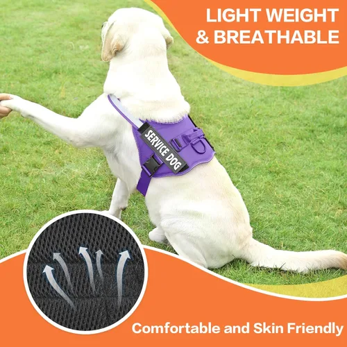 Vista 5 de MUMUPET Arnés para perro, chaleco reflectante sin tirones, arnés transpirable ajustable para mascotas con asa para caminar al aire libre, no más