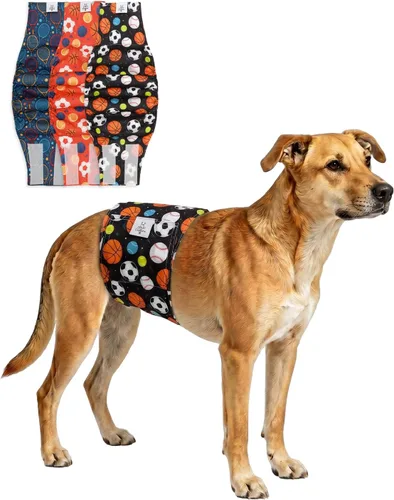 Vista 14 de CuteBone - Pañales lavables para perro macho, banda abdominal, paquete de 3 unidades, color negro, modelo DM54XS