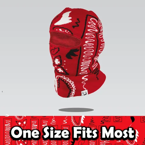 Vista 4 de GC Pasamontañas Paisley Bandana Máscara de esquí para hombres y mujeres, máscara facial resistente al viento para ciclismo, motocicleta, correr