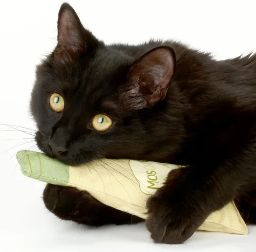 Vista 3 de Botella de vino de hierba gatera juguetes para gatos y gatitos Botella de vino de felpa – Divertido juguete para gatos Moscato y CATbernet – Juguete