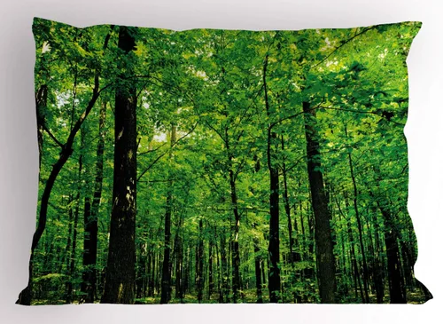 Vista 19 de Ambesonne Funda de almohada con frase en escala de grises, composición de flechas y puntos, inscripción inspiradora Be Brave, funda de almohada Gris