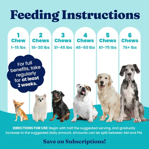 Vista 7 de Masticables de oro sólido para alergias para perros para picazón en la piel