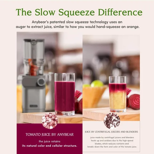 Vista 4 de Anybear Cold Press Juicer 200W Slow Juicer 4.3" Feed Chute & Juice Recipes Silver Slow Juicer Machine, For Whole Fruit/ Vegetable, Upgraded