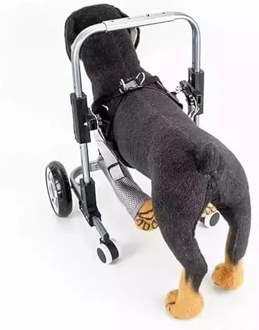 Vista 5 de Silla de ruedas ajustable para perros pequeños para soporte de patas delanteras Ayuda de movilidad de 2 ruedas para perros discapacitados