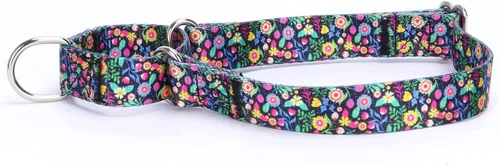 Vista 16 de Collar de perro de nailon resistente, collar ajustable de martingala para perros para caminar y entrenamiento para perros machos y hembras perros