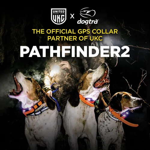 Vista 9 de Dogtra Pathfinder 2 Receptor adicional Perro GPS Tracker e Collar Luz LED Negro Sin tarifas mensuales Aplicación gratuita Impermeable Smartwatch