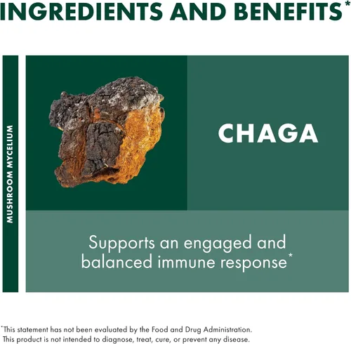 Vista 6 de Host Defense Chaga Powder - Suplemento de apoyo del sistema inmunológico - Polvo de hongo Chaga para apoyo a la actividad antioxidante - Suplemento