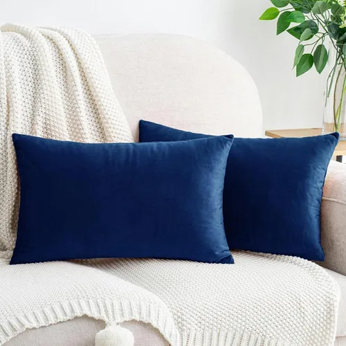 Vista 63 de HWY 50 fundas de almohada decorativas de terciopelo sólido para sofá, sala de estar., Terciopelo, gris, 20x20 pulgadas