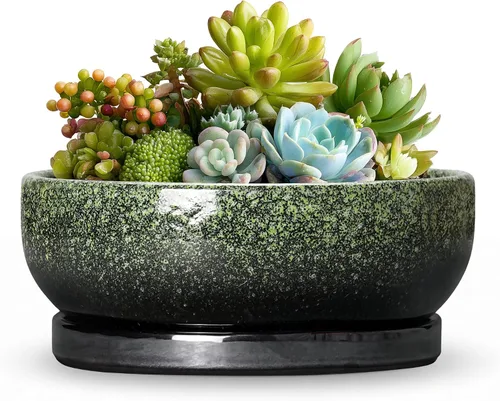Vista 38 de Succulent Pots, 6 Inch Ceramic Bonsai Pots with Saucer, Blue
