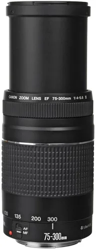 Vista 4 de Canon EF 75-300mm f/4-5.6 III Objetivo zoom telefoto para cámaras Canon SLR, 6473A003 (Reacondicionado)